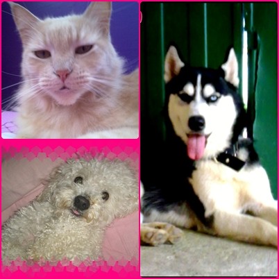 keisy, luna y totty!!! keisy, luna y totty!!!